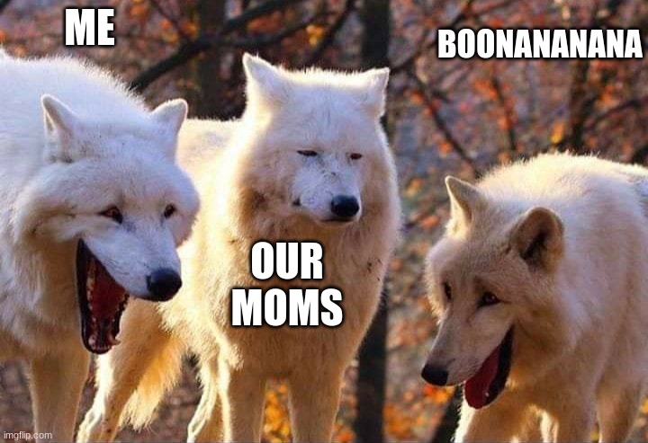 Laughing wolf | ME OUR MOMS BOONANANANA | image tagged in laughing wolf | made w/ Imgflip meme maker