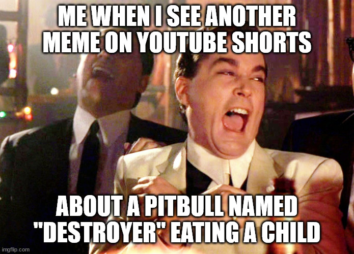 Good Fellas Hilarious | ME WHEN I SEE ANOTHER MEME ON YOUTUBE SHORTS; ABOUT A PITBULL NAMED "DESTROYER" EATING A CHILD | image tagged in good fellas hilarious,pitbulls,destroyer,child gone | made w/ Imgflip meme maker
