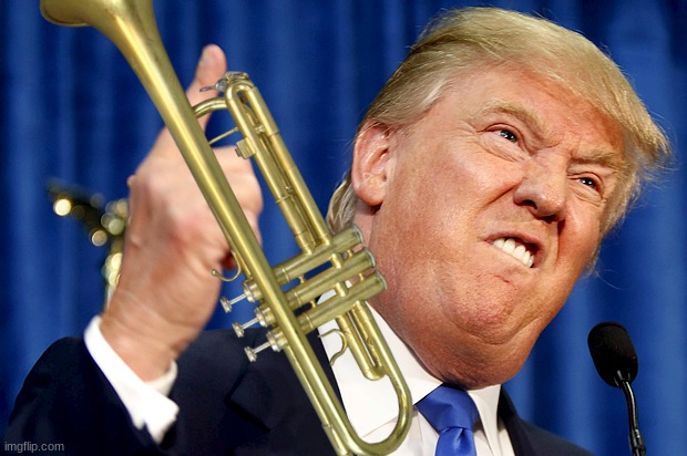 Donald Trump | image tagged in donald trump | made w/ Imgflip meme maker
