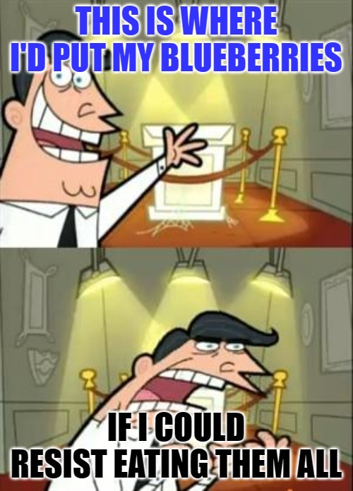 This Is Where I'd Put My Trophy If I Had One | THIS IS WHERE I'D PUT MY BLUEBERRIES; IF I COULD RESIST EATING THEM ALL | image tagged in memes,this is where i'd put my trophy if i had one | made w/ Imgflip meme maker