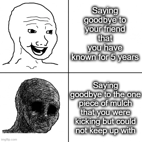 zad :( | Saying goodbye to your friend that you have known for 5 years; Saying goodbye to the one piece of mulch that you were kicking but could not keep up with | image tagged in happy vs sad,sad,kick,whyyy,wojak,nooooooooo | made w/ Imgflip meme maker
