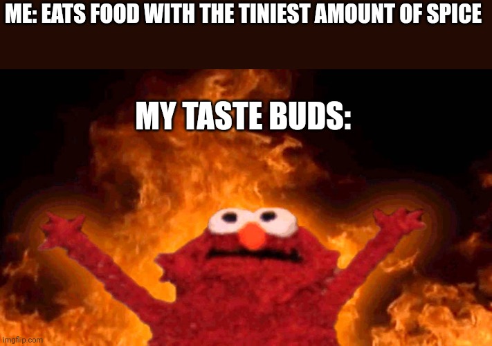 elmo fire | ME: EATS FOOD WITH THE TINIEST AMOUNT OF SPICE; MY TASTE BUDS: | image tagged in elmo fire | made w/ Imgflip meme maker