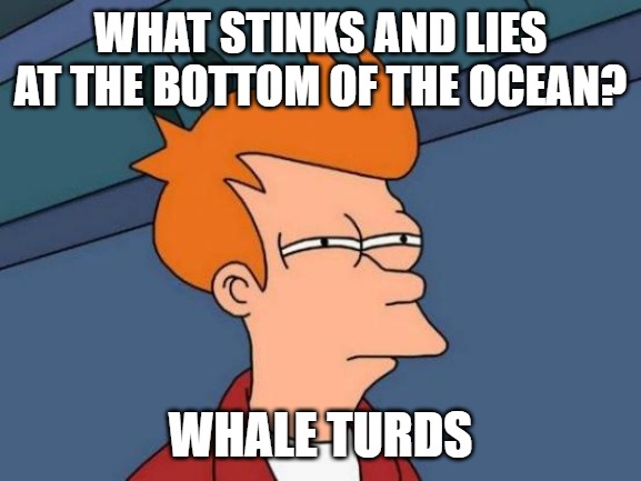 Futurama Fry Meme | WHAT STINKS AND LIES AT THE BOTTOM OF THE OCEAN? WHALE TURDS | image tagged in memes,futurama fry | made w/ Imgflip meme maker