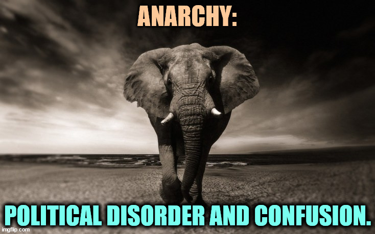 Anarchy is not conservative. | ANARCHY:; POLITICAL DISORDER AND CONFUSION. | image tagged in anarchy,personality disorders,chaos,confusion,maga,republican party | made w/ Imgflip meme maker