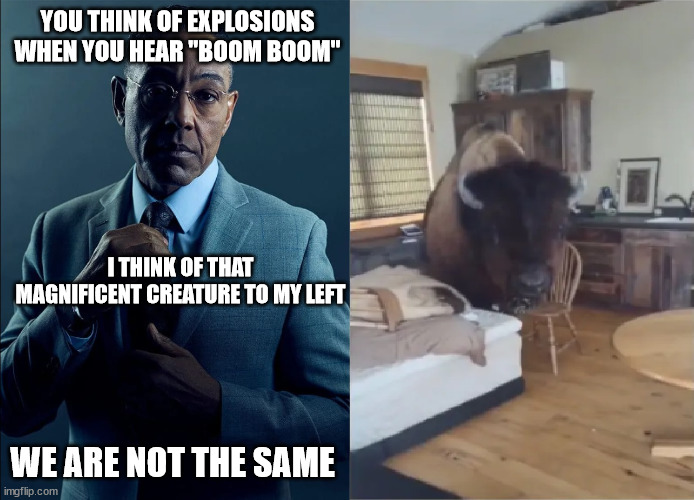 We are not the same | YOU THINK OF EXPLOSIONS WHEN YOU HEAR "BOOM BOOM"; I THINK OF THAT MAGNIFICENT CREATURE TO MY LEFT; WE ARE NOT THE SAME | image tagged in we are not the same,gus fring we are not the same,breaking bad,boom boom | made w/ Imgflip meme maker
