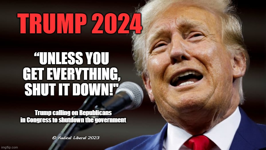 Mr. Shut-It-Down | TRUMP 2024; “UNLESS YOU GET EVERYTHING, SHUT IT DOWN!"; Trump calling on Republicans in Congress to shutdown the government; © Radical Liberal 2023 | image tagged in government,politics,trump,congress,biggest loser | made w/ Imgflip meme maker