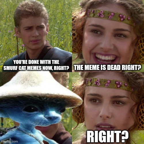 Never >:) | YOU'RE DONE WITH THE SMURF CAT MEMES NOW, RIGHT? THE MEME IS DEAD RIGHT? RIGHT? | image tagged in anakin padme 4 panel,smurf cat,memes,we live we love we lie | made w/ Imgflip meme maker