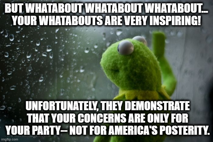 BUT WHATABOUT WHATABOUT WHATABOUT... YOUR WHATABOUTS ARE VERY INSPIRING! UNFORTUNATELY, THEY DEMONSTRATE THAT YOUR CONCERNS ARE ONLY FOR YOU | image tagged in kermit window | made w/ Imgflip meme maker
