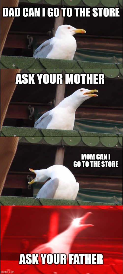 i hate this so much | DAD CAN I GO TO THE STORE; ASK YOUR MOTHER; MOM CAN I GO TO THE STORE; ASK YOUR FATHER | image tagged in memes,inhaling seagull | made w/ Imgflip meme maker