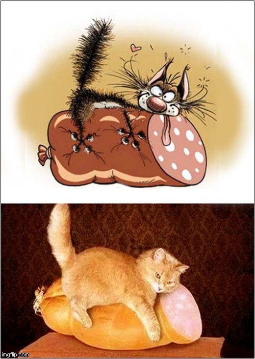 Cats On Ham ! | image tagged in cats,cartoon,ham | made w/ Imgflip meme maker