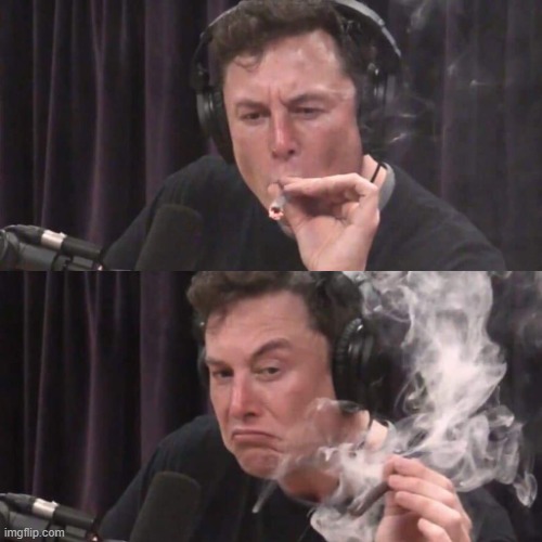 Elon Musk Weed | image tagged in elon musk weed | made w/ Imgflip meme maker