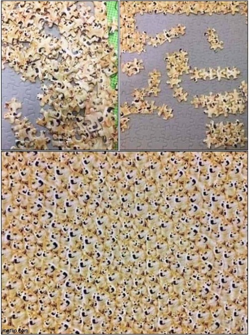 Doge Jigsaw - Level Insane ! | image tagged in dogs,doge,jigsaw,level,insane | made w/ Imgflip meme maker