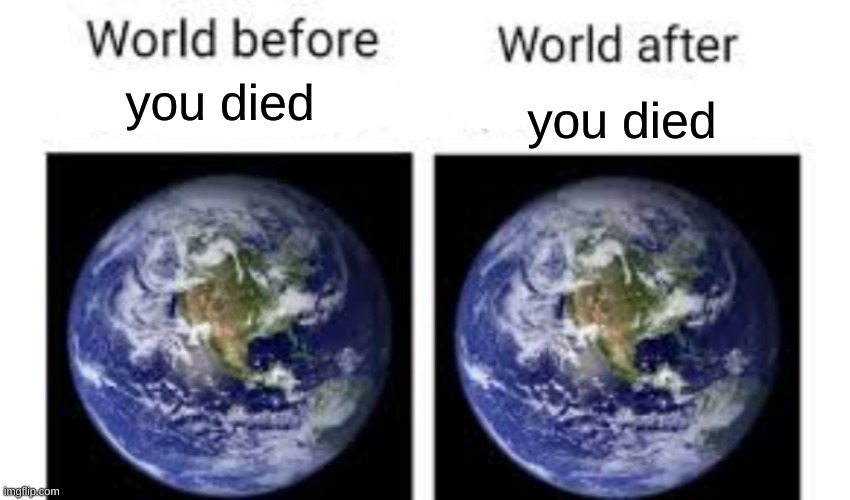 The world before (X) and after (X) | you died you died | image tagged in the world before x and after x | made w/ Imgflip meme maker