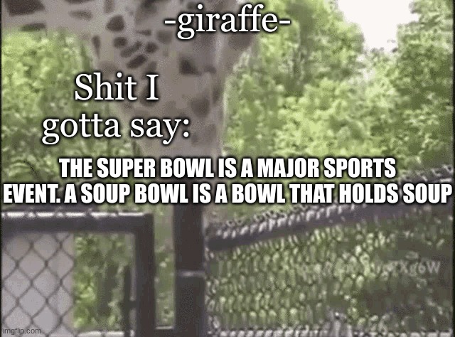 -giraffe- | THE SUPER BOWL IS A MAJOR SPORTS EVENT. A SOUP BOWL IS A BOWL THAT HOLDS SOUP | image tagged in -giraffe- | made w/ Imgflip meme maker