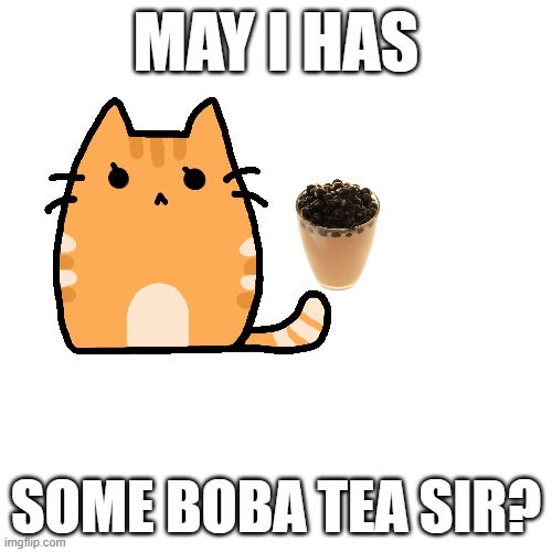 >.< | MAY I HAS; SOME BOBA TEA SIR? | image tagged in boba tea cats | made w/ Imgflip meme maker