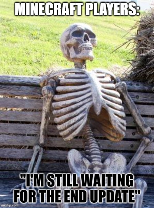 Waiting Skeleton | MINECRAFT PLAYERS:; ''I'M STILL WAITING FOR THE END UPDATE'' | image tagged in memes,waiting skeleton | made w/ Imgflip meme maker