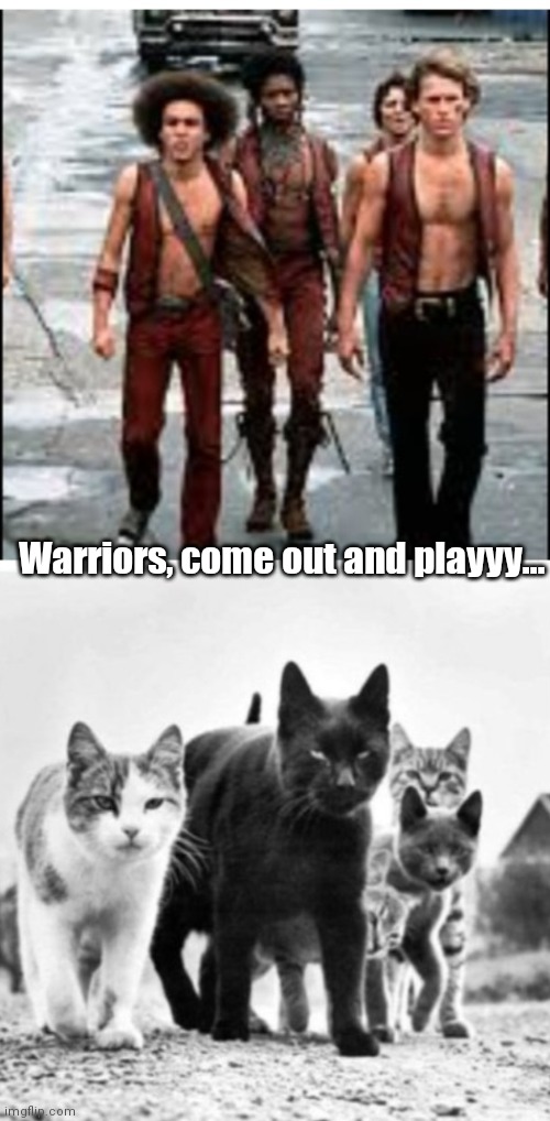 Warriors | Warriors, come out and playyy... | image tagged in funny | made w/ Imgflip meme maker