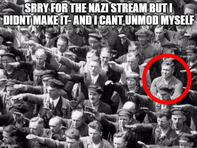 No nazi salute | SRRY FOR THE NAZI STREAM BUT I DIDNT MAKE IT- AND I CANT UNMOD MYSELF | image tagged in no nazi salute | made w/ Imgflip meme maker