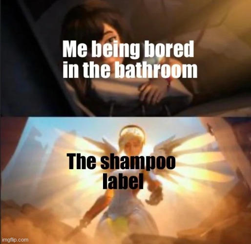 image tagged in memes | made w/ Imgflip meme maker