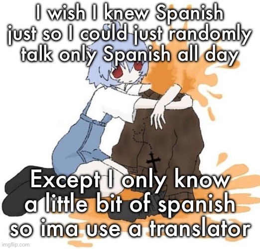 rei | I wish I knew Spanish just so I could just randomly talk only Spanish all day; Except I only know a little bit of spanish so ima use a translator | image tagged in rei | made w/ Imgflip meme maker