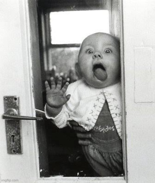 Baby licking window | image tagged in baby licking window | made w/ Imgflip meme maker