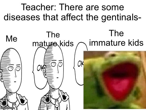 My health class summarized in one meme | Teacher: There are some diseases that affect the gentinals-; The immature kids; The mature kids; Me | image tagged in school | made w/ Imgflip meme maker
