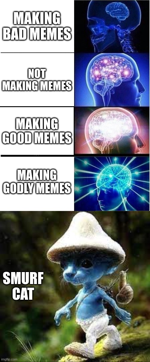 Its the best | MAKING BAD MEMES; NOT MAKING MEMES; MAKING GOOD MEMES; MAKING GODLY MEMES; SMURF CAT | image tagged in memes,expanding brain | made w/ Imgflip meme maker