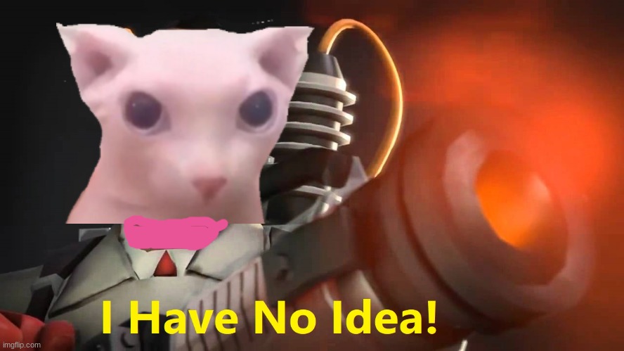 i have no idea [medic version] | image tagged in i have no idea medic version | made w/ Imgflip meme maker