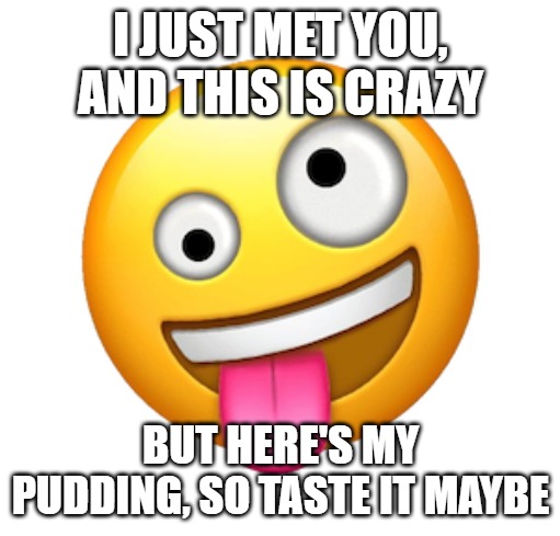 I JUST MET YOU, AND THIS IS CRAZY; BUT HERE'S MY PUDDING, SO TASTE IT MAYBE | image tagged in whacky | made w/ Imgflip meme maker
