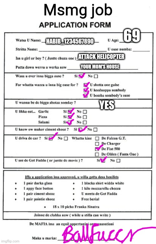 Job application | Msmg job HABIB_1234567890 69 ATTACK HELICOPTER YOUR MOM'S HOUSE YES | image tagged in job,job application,stop it get some help | made w/ Imgflip meme maker