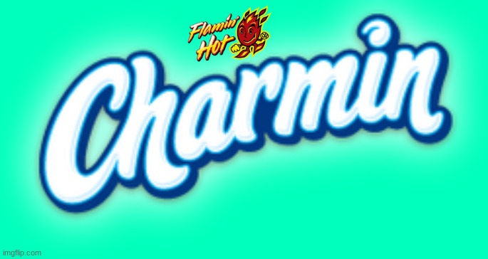 flamin hot charmin | image tagged in flamin hot,fake,charmin | made w/ Imgflip meme maker