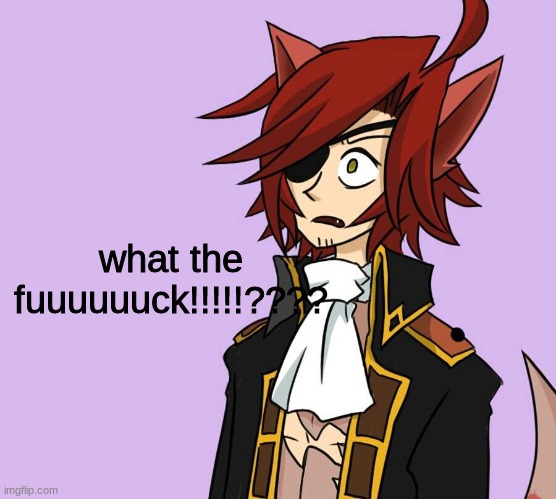 Surprised Foxy | what the fuuuuuuck!!!!!???? | image tagged in surprised foxy | made w/ Imgflip meme maker