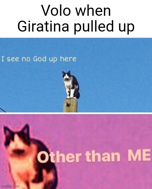 Yes! I beat Vo- *portal* | Volo when Giratina pulled up | image tagged in hail pole cat | made w/ Imgflip meme maker