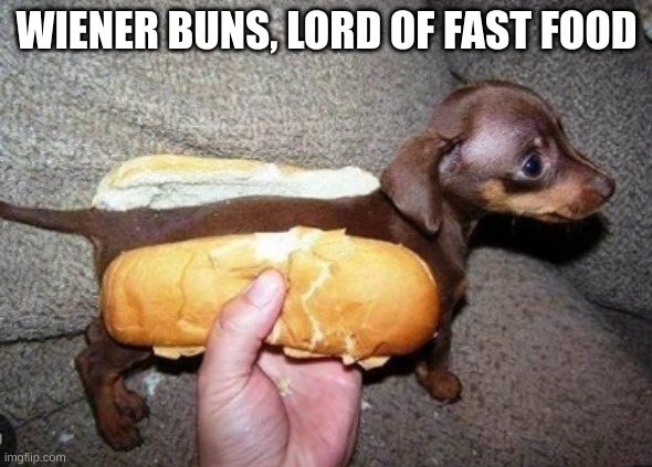 Wiener Buns | WIENER BUNS, LORD OF FAST FOOD | image tagged in hot dog,hot dogs,too many hot dogs,wiener,fast food,boss | made w/ Imgflip meme maker