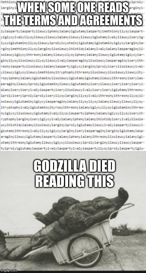 Goofy ah | WHEN SOME ONE READS THE TERMS AND AGREEMENTS; GODZILLA DIED READING THIS | image tagged in funny,goofy ahh,fun,memes,funny memes | made w/ Imgflip meme maker