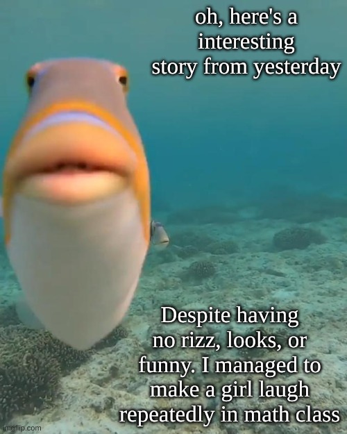 They were not forced either- | oh, here's a interesting story from yesterday; Despite having no rizz, looks, or funny. I managed to make a girl laugh repeatedly in math class | image tagged in staring fish | made w/ Imgflip meme maker