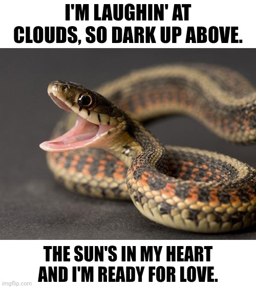 Snake  | I'M LAUGHIN' AT CLOUDS, SO DARK UP ABOVE. THE SUN'S IN MY HEART AND I'M READY FOR LOVE. | image tagged in snake | made w/ Imgflip meme maker