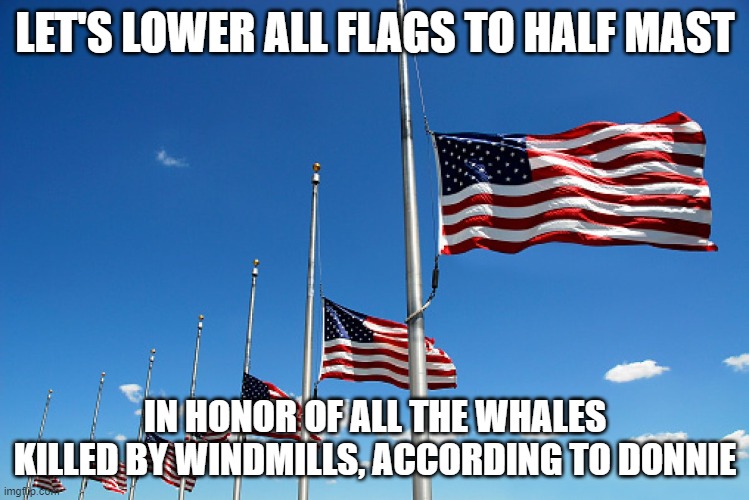 Flag half mast | LET'S LOWER ALL FLAGS TO HALF MAST; IN HONOR OF ALL THE WHALES KILLED BY WINDMILLS, ACCORDING TO DONNIE | image tagged in flag half mast | made w/ Imgflip meme maker