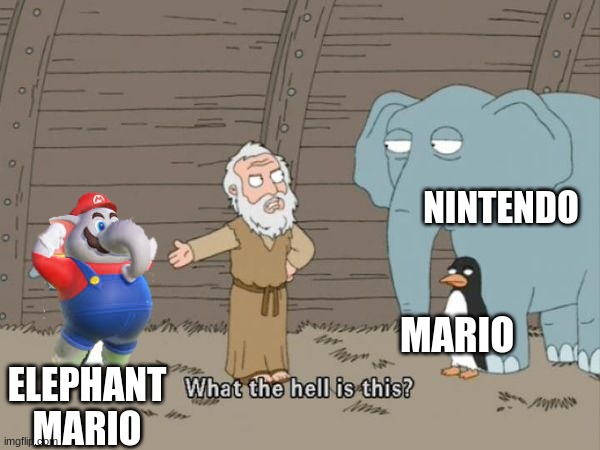 why nintendo WHY | NINTENDO; MARIO; ELEPHANT MARIO | image tagged in what the hell is this | made w/ Imgflip meme maker
