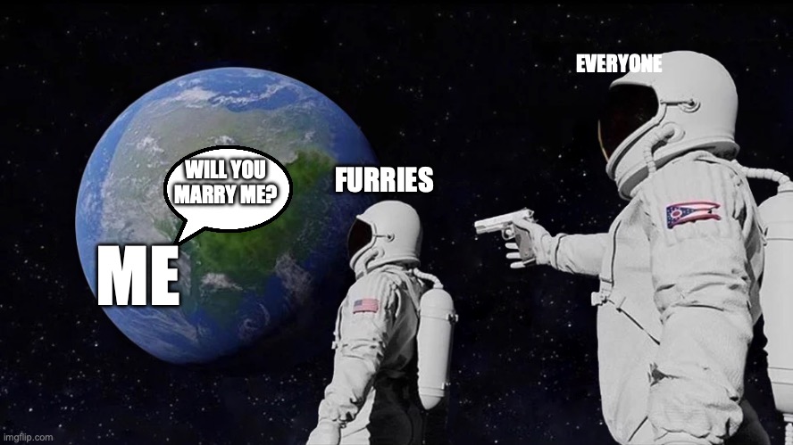 Everyone but me | EVERYONE; WILL YOU MARRY ME? FURRIES; ME | image tagged in memes | made w/ Imgflip meme maker