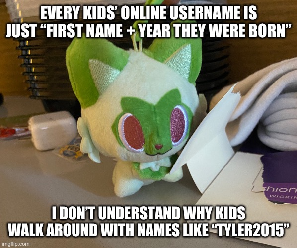 Scrimblo | EVERY KIDS’ ONLINE USERNAME IS JUST “FIRST NAME + YEAR THEY WERE BORN”; I DON’T UNDERSTAND WHY KIDS WALK AROUND WITH NAMES LIKE “TYLER2015” | image tagged in scrimblo | made w/ Imgflip meme maker