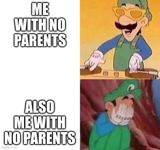 Luigi DJ Crying Meme | ME WITH NO PARENTS ALSO ME WITH NO PARENTS | image tagged in luigi dj crying meme | made w/ Imgflip meme maker