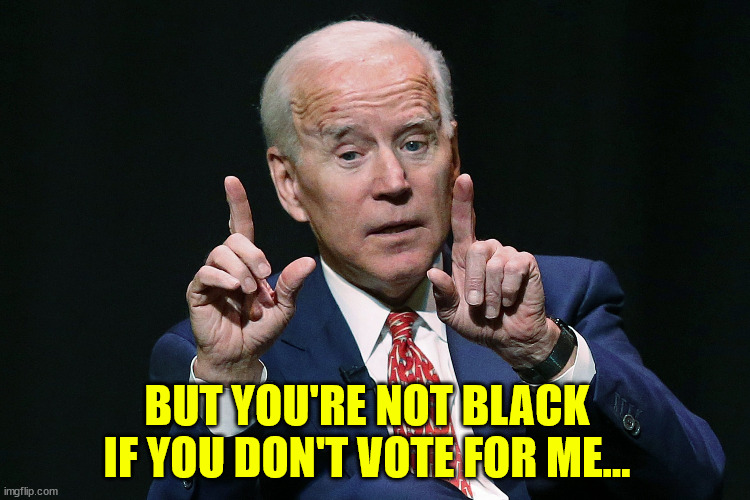 Joe Biden hold up | BUT YOU'RE NOT BLACK IF YOU DON'T VOTE FOR ME... | image tagged in joe biden hold up | made w/ Imgflip meme maker