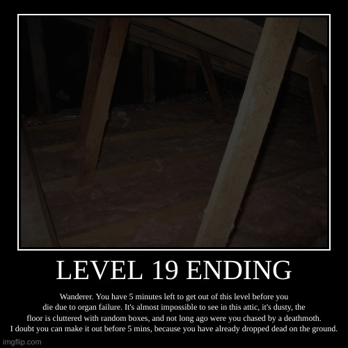 Level 19 Ending | LEVEL 19 ENDING | Wanderer. You have 5 minutes left to get out of this level before you die due to organ failure. It's almost impossible to  | image tagged in demotivationals,scary,horror,backrooms | made w/ Imgflip demotivational maker