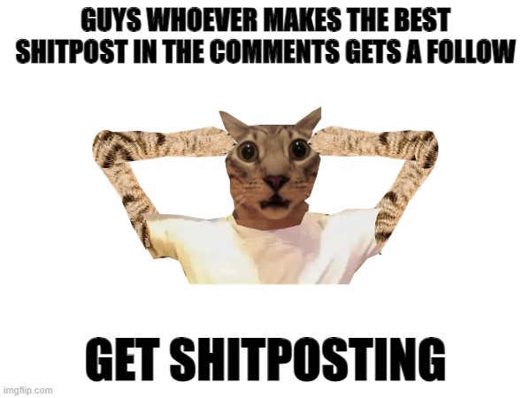 GUYS WHOEVER MAKES THE BEST SHITPOST IN THE COMMENTS GETS A FOLLOW; GET SHITPOSTING | made w/ Imgflip meme maker