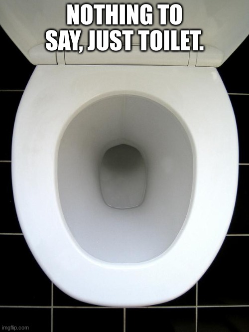 toilet. | NOTHING TO SAY, JUST TOILET. | image tagged in toilet | made w/ Imgflip meme maker