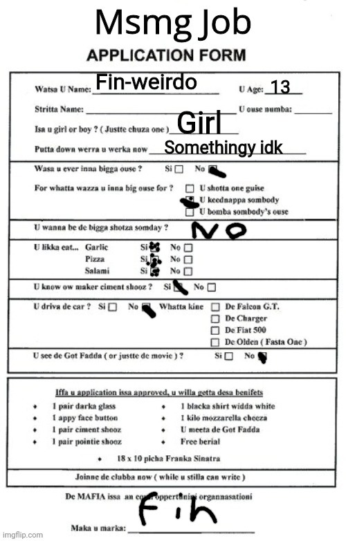 Msmg job application | Fin-weirdo; 13; Girl; Somethingy idk | image tagged in msmg job application | made w/ Imgflip meme maker