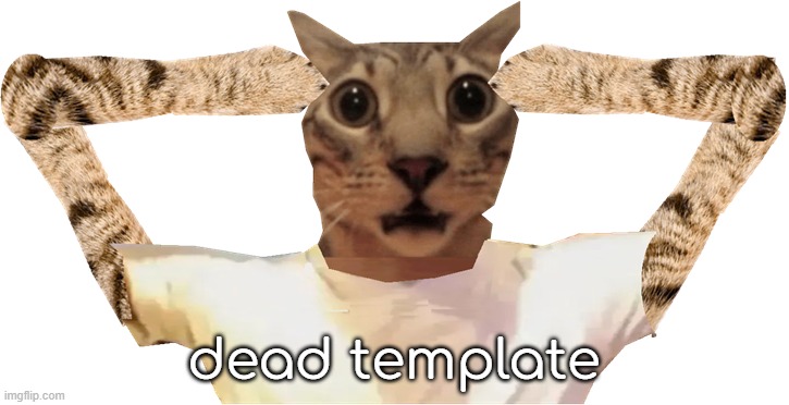 i dont use that template | dead template | image tagged in cat shocked | made w/ Imgflip meme maker