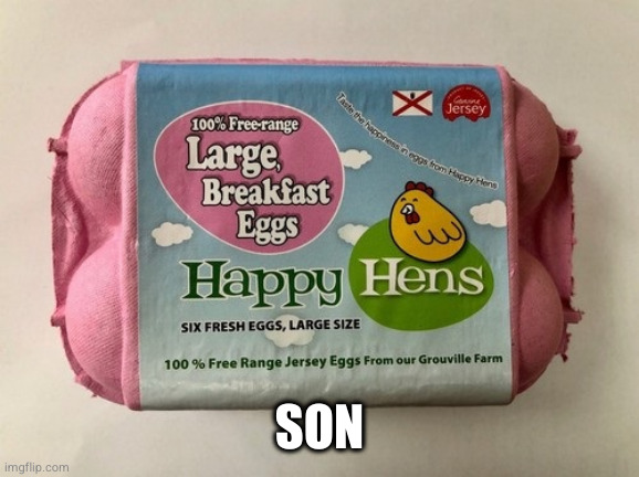 thick egs | SON | image tagged in thick egs | made w/ Imgflip meme maker