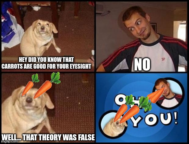 you lied to me | NO; HEY DID YOU KNOW THAT CARROTS ARE GOOD FOR YOUR EYESIGHT; WELL... THAT THEORY WAS FALSE | image tagged in oh you | made w/ Imgflip meme maker